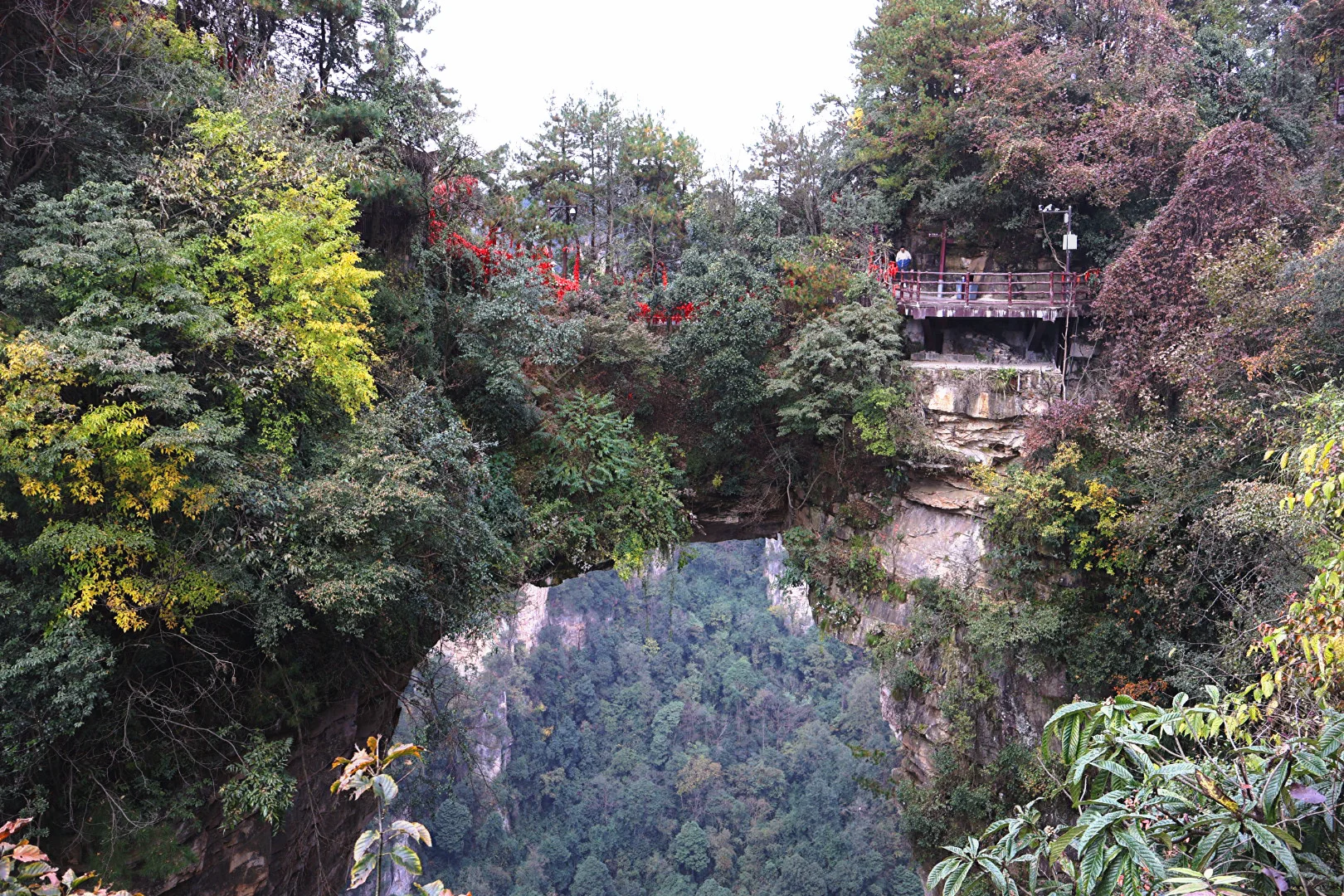 张家界国家森林公园游玩攻略