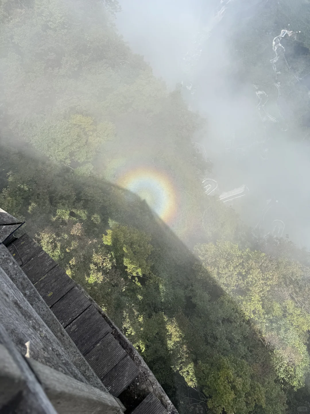 今天是蓝调的一天张家界之旅🪂