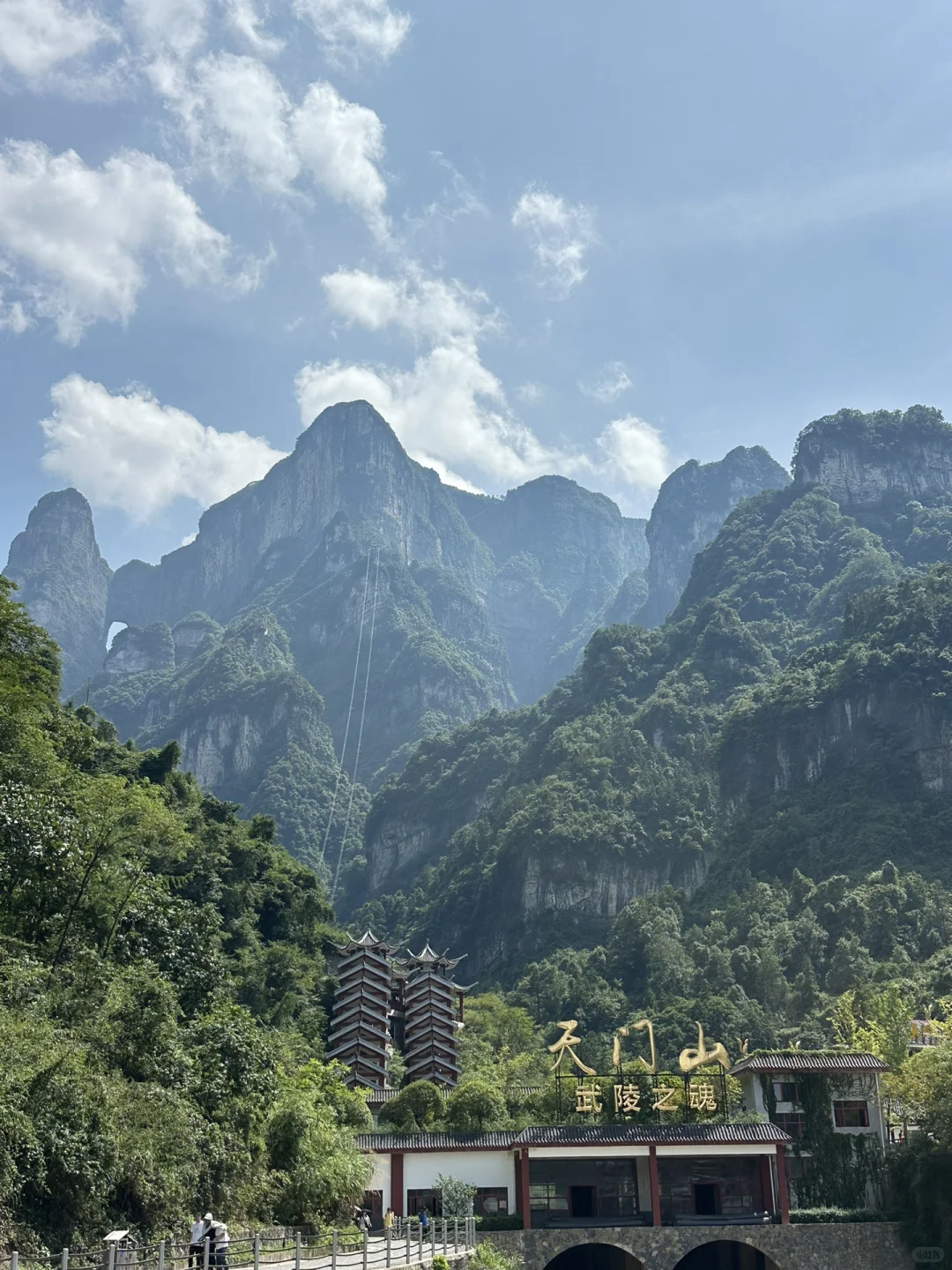 1️⃣适合带爸妈的张家界不费腿攻略