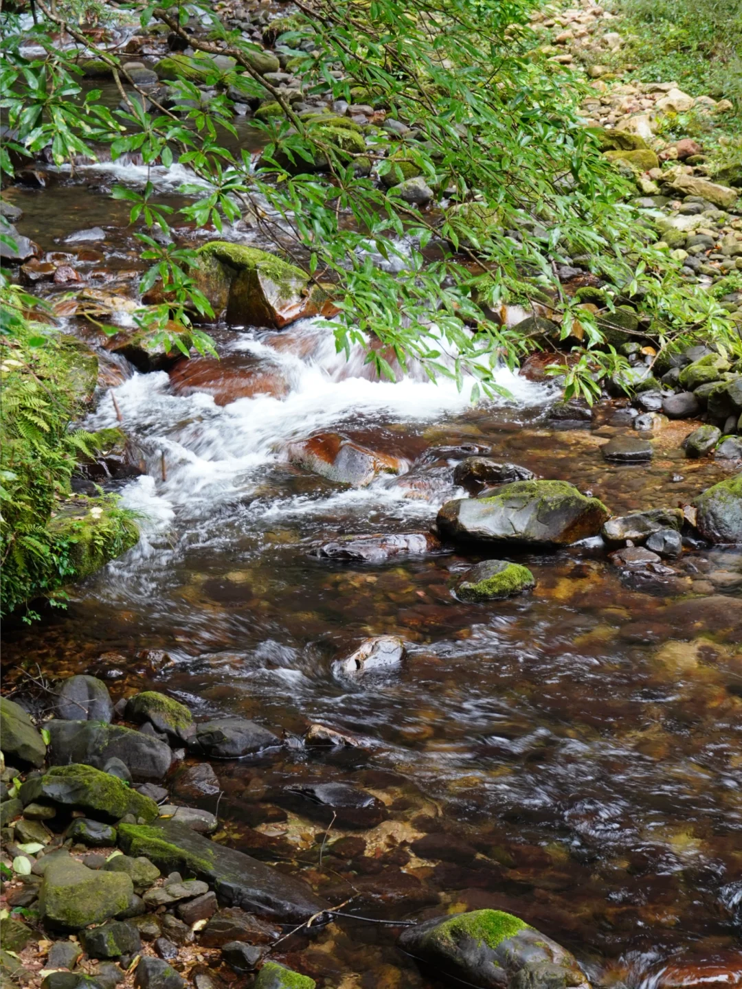 强推淡季的张家界‼️附攻略地图