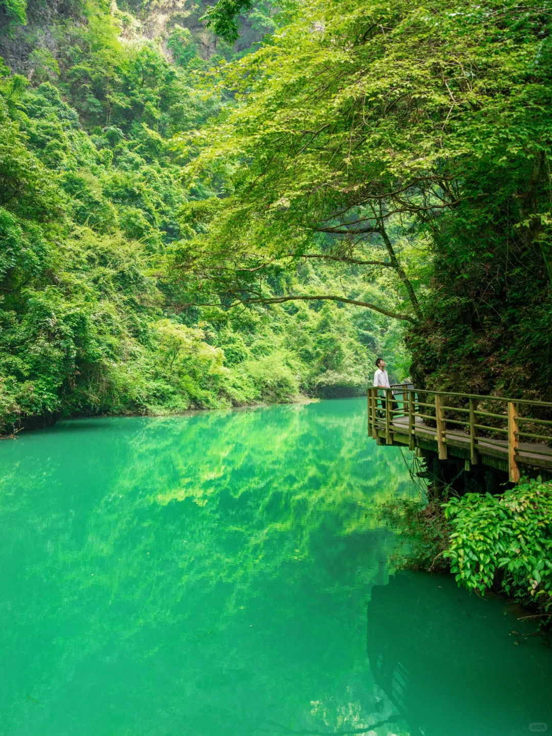 《国家地理》真的没有骗我！此生必去张家界！