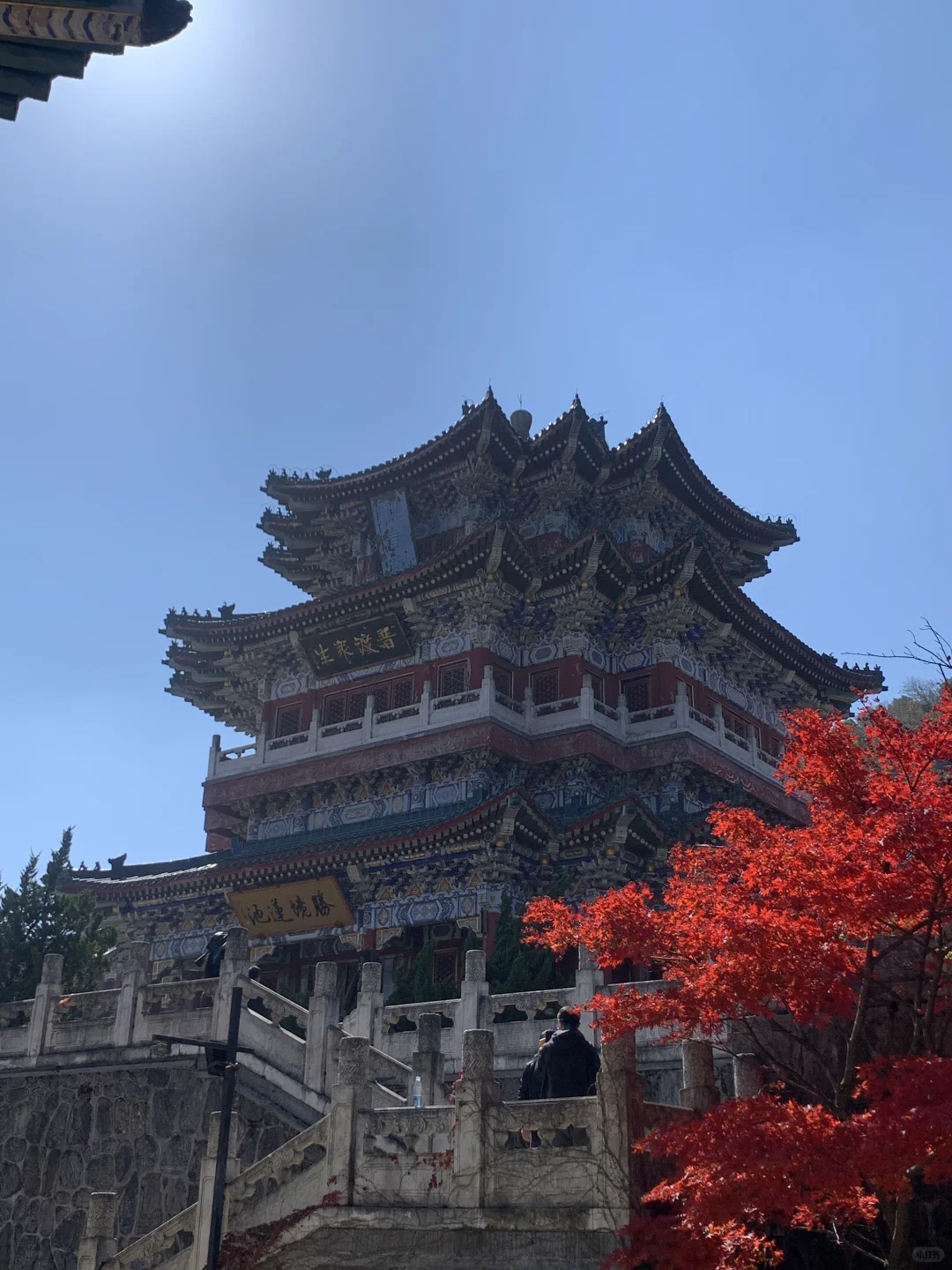 来张家界如何游玩？！