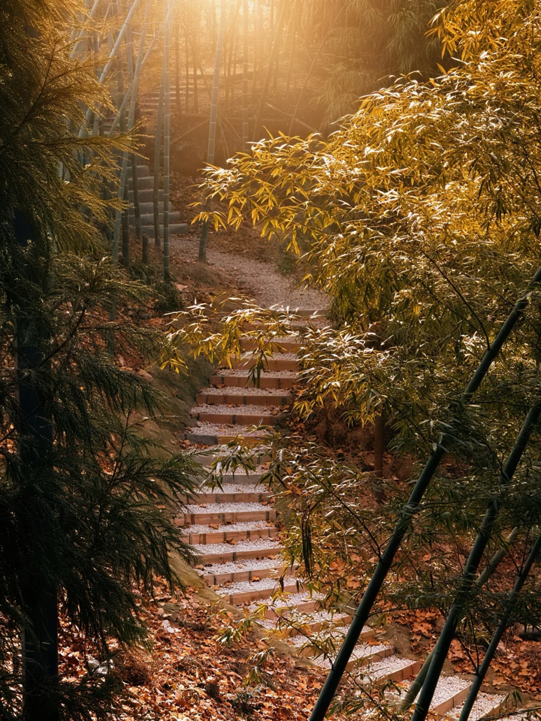 张家界天门山对面