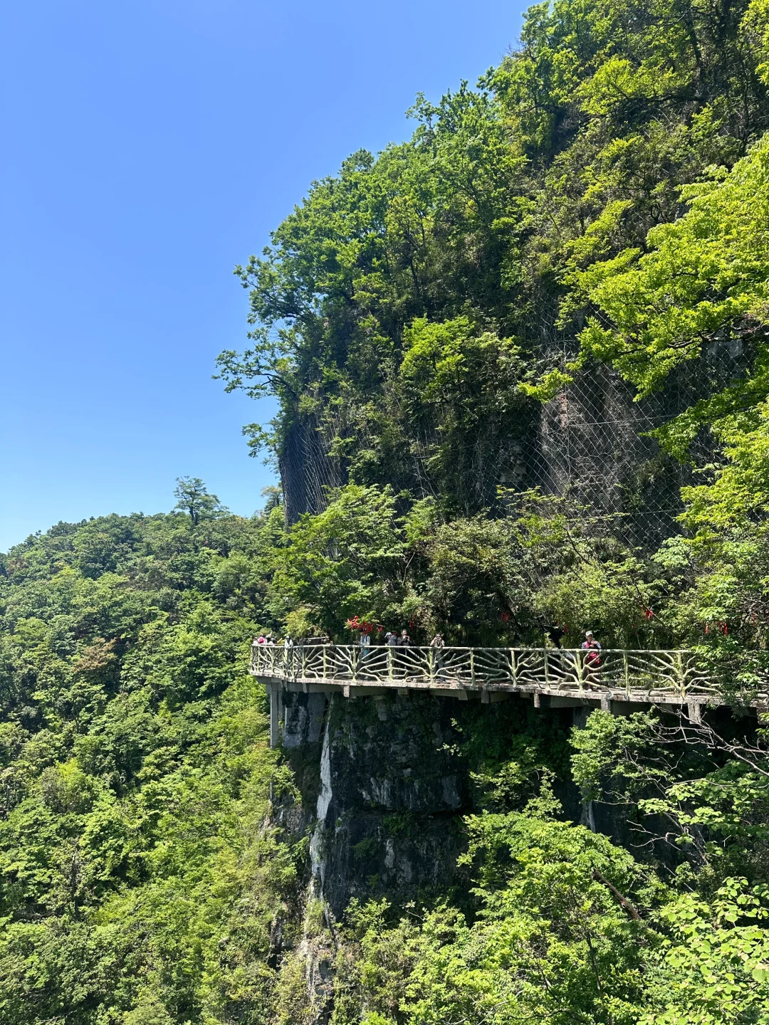 📍 𝐙𝐡𝐚𝐧𝐠 𝐣𝐢𝐚 𝐣𝐢𝐞