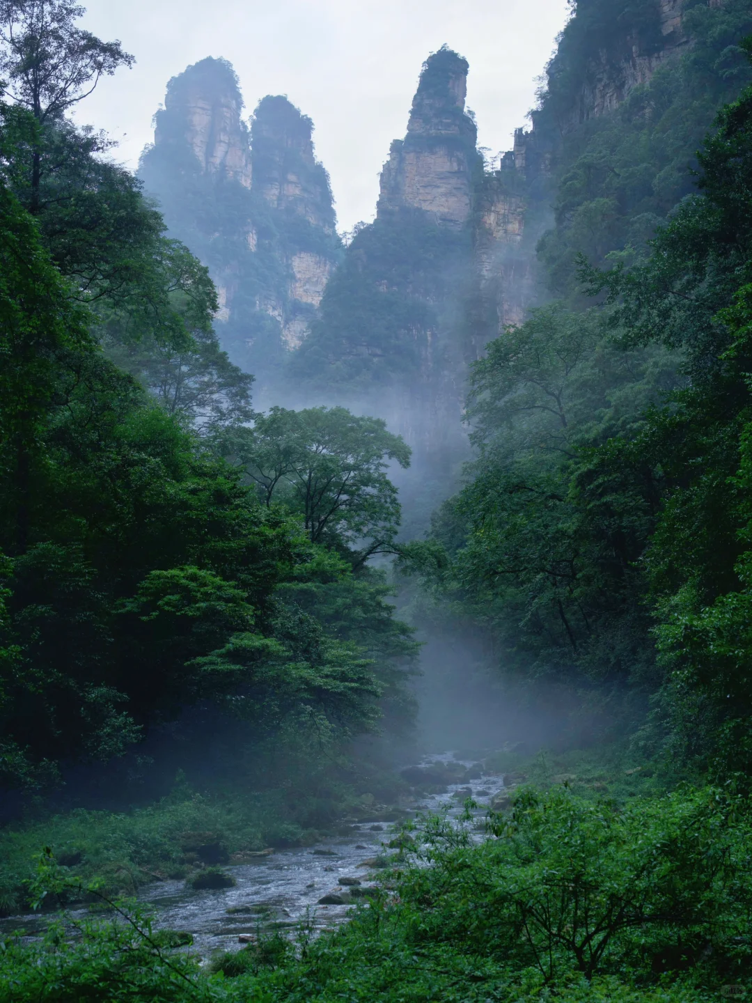 张家界刚回，美疯了！！难怪韩国人超爱🙌🏻‼️