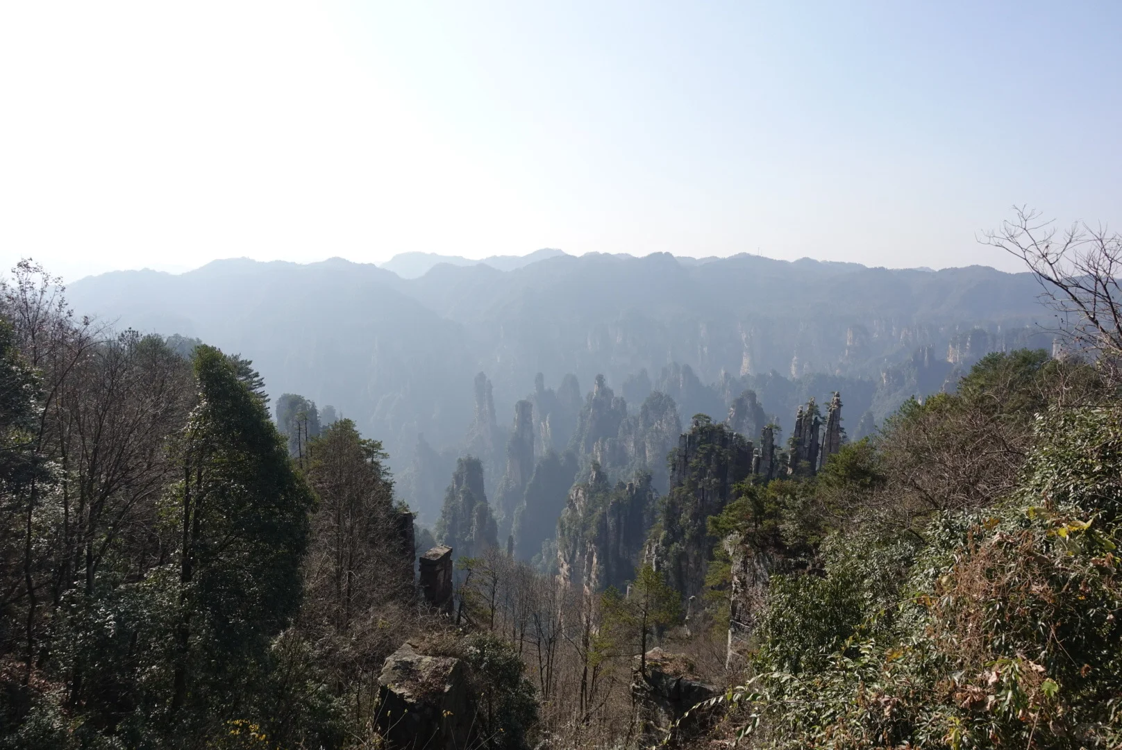 到站张家界第三天