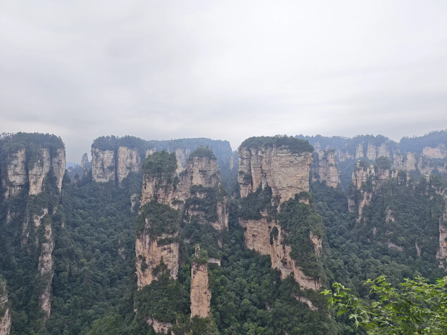 一来一个不吱声，张家界竟然有这样的山