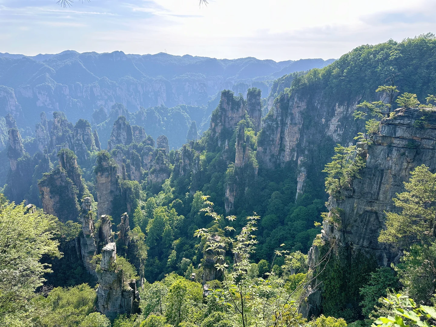 📍 𝐙𝐡𝐚𝐧𝐠 𝐣𝐢𝐚 𝐣𝐢𝐞