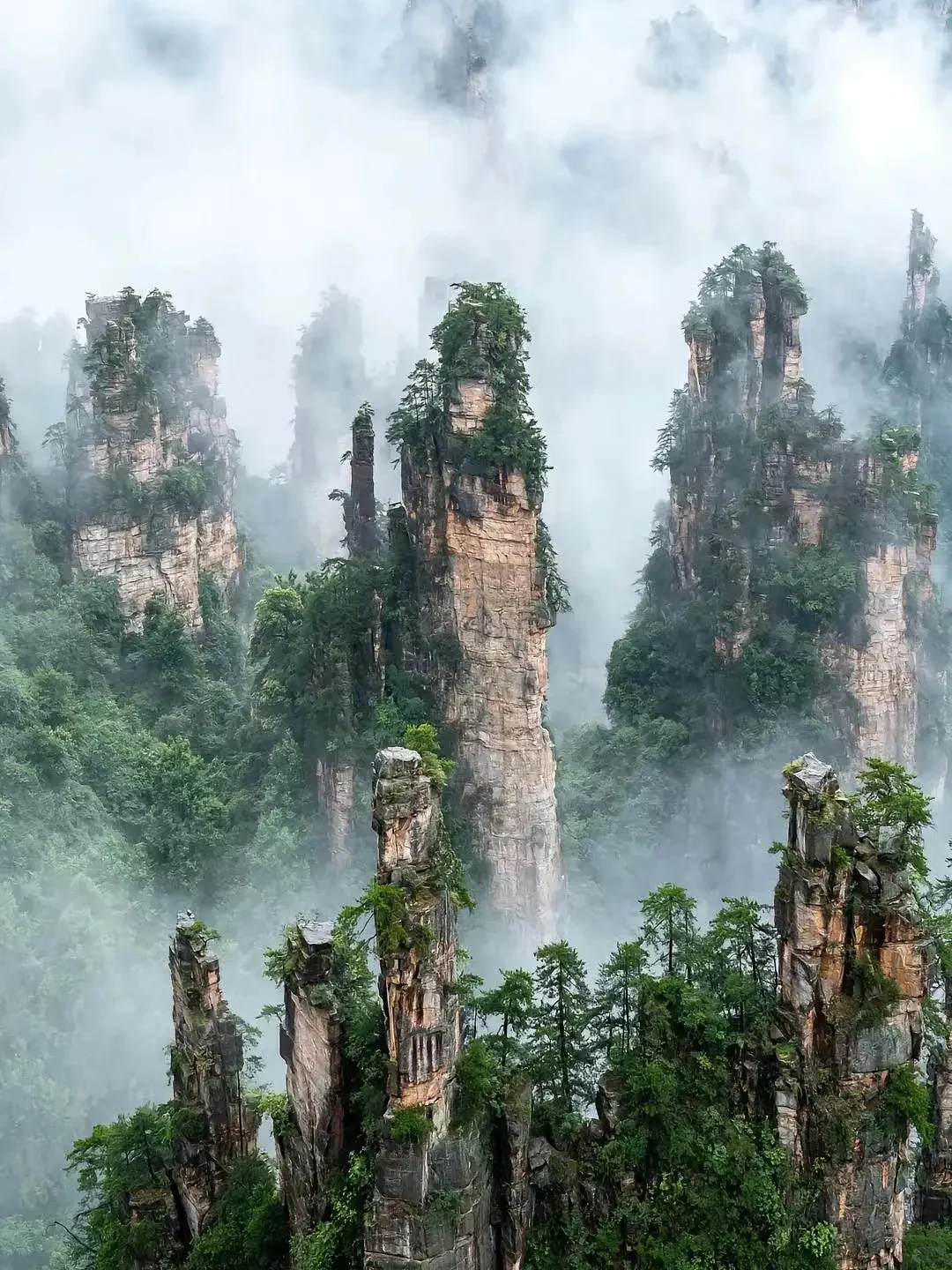 为什么韩国人这么喜欢张家界？