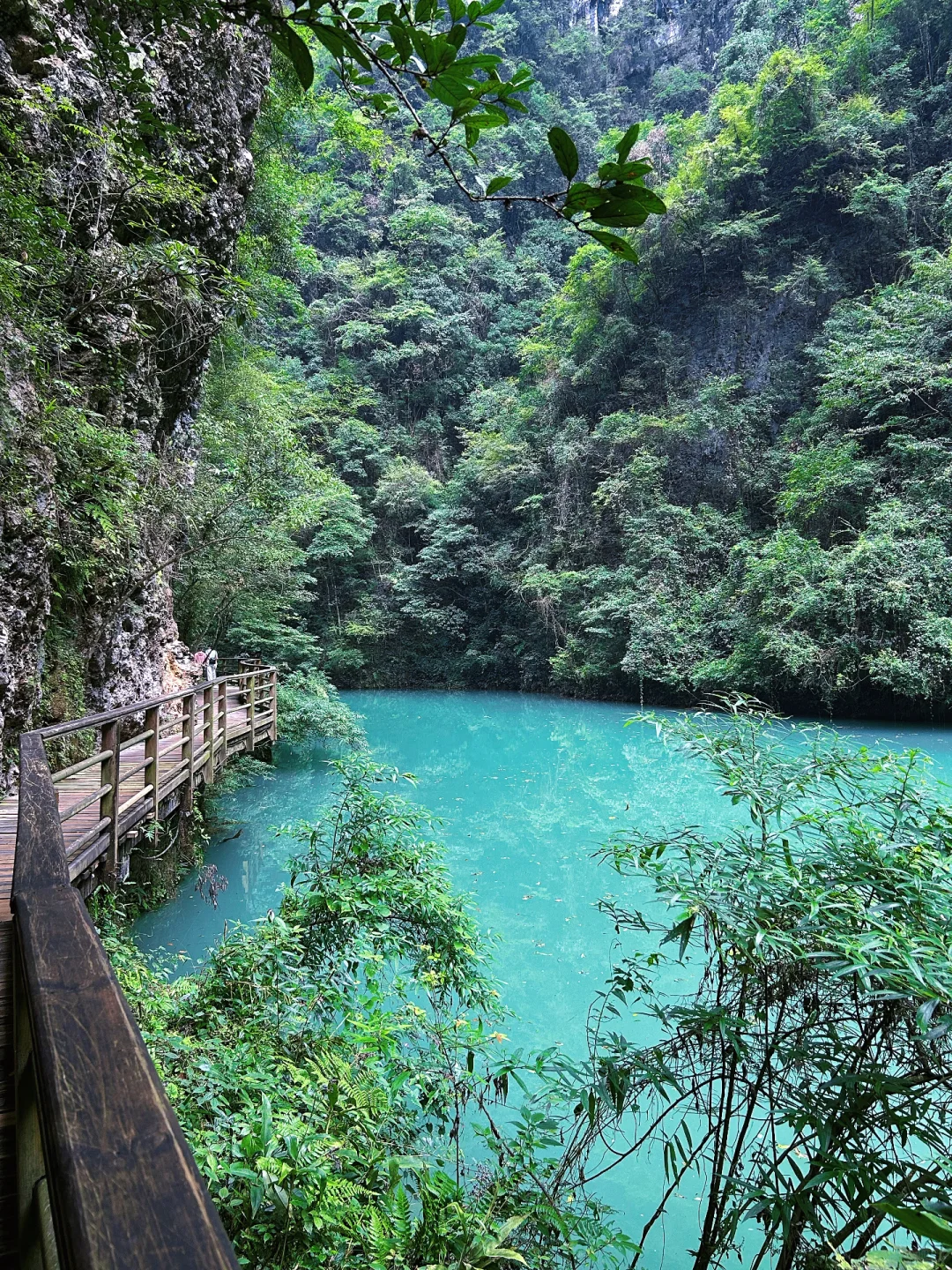 📍𝐙𝐡𝐚𝐧𝐠 𝐉𝐢𝐚 𝐉𝐢𝐞 · 大峡谷