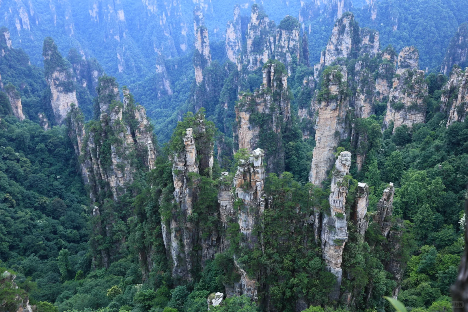 张家界很好，下次不来了！