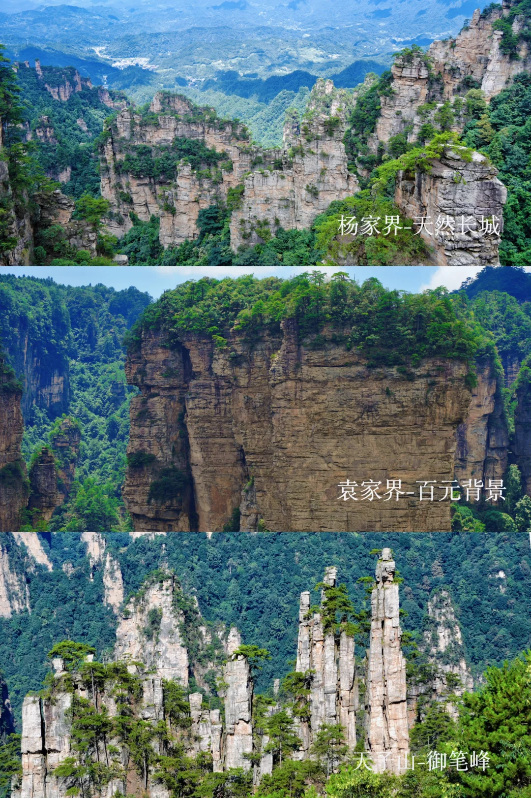 张家界刚回，再也不听小红书乱说了😭