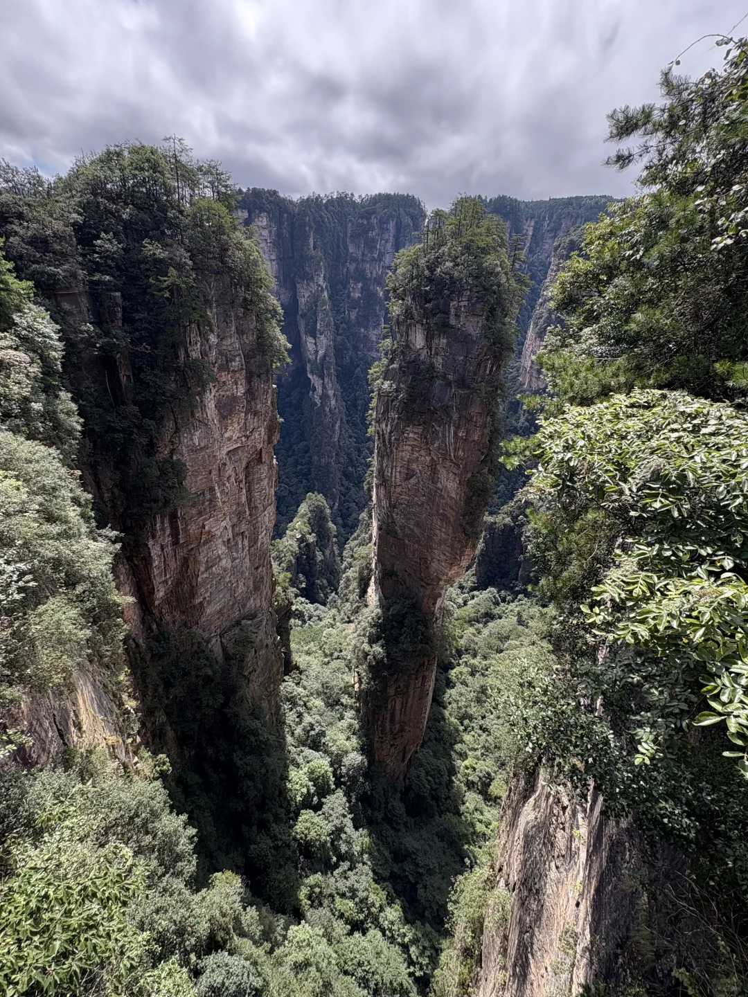 这才是张家界该有的样子