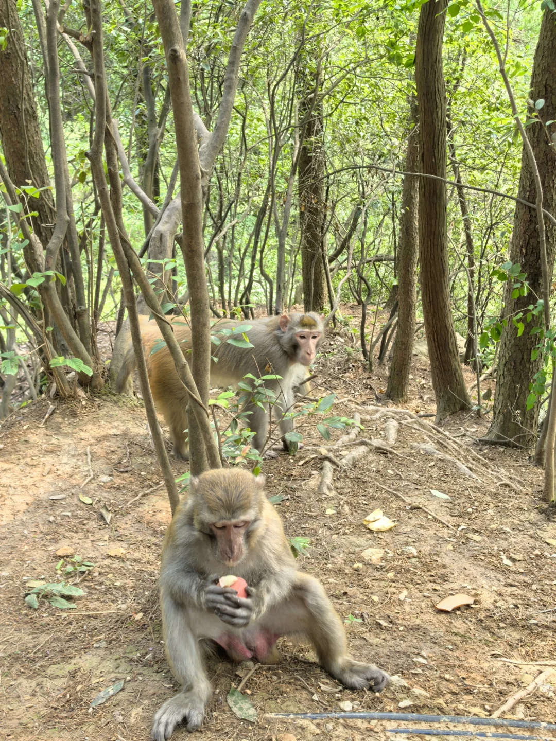 不愧是世界的张家界！！！