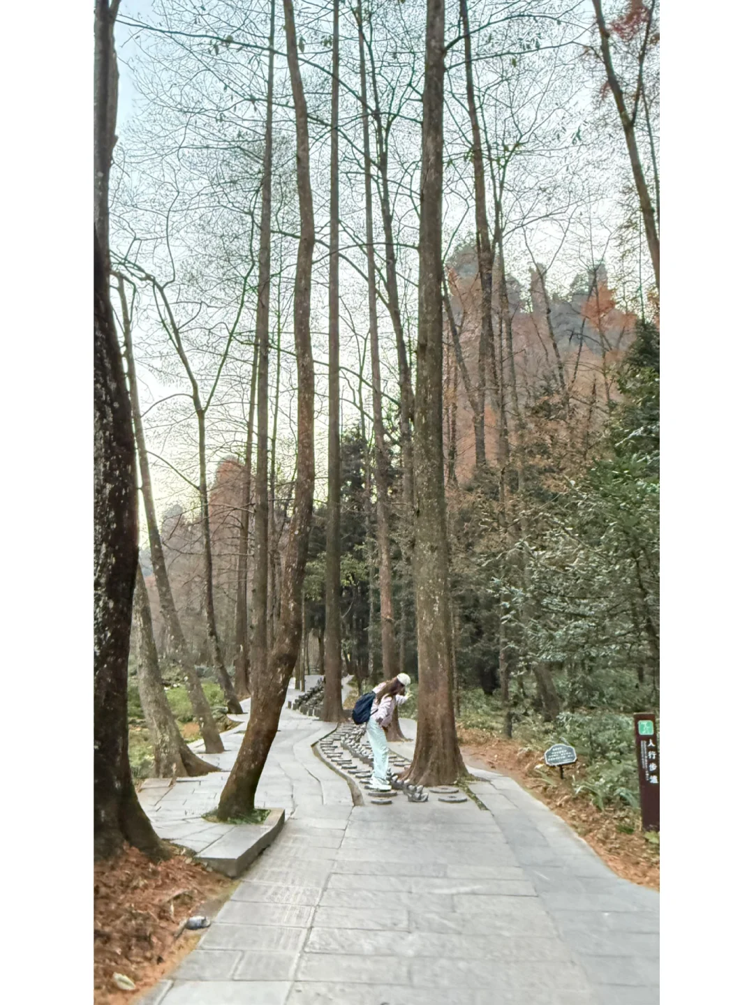 张家界12月8日游玩实况可穿短袖也穿厚外套