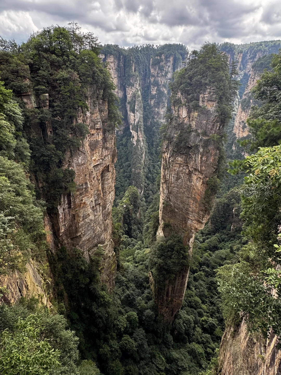 仙境之阿凡达故里