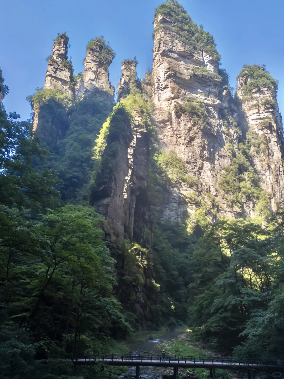 作为湖南人，真的后悔才来张家界，附详细路线