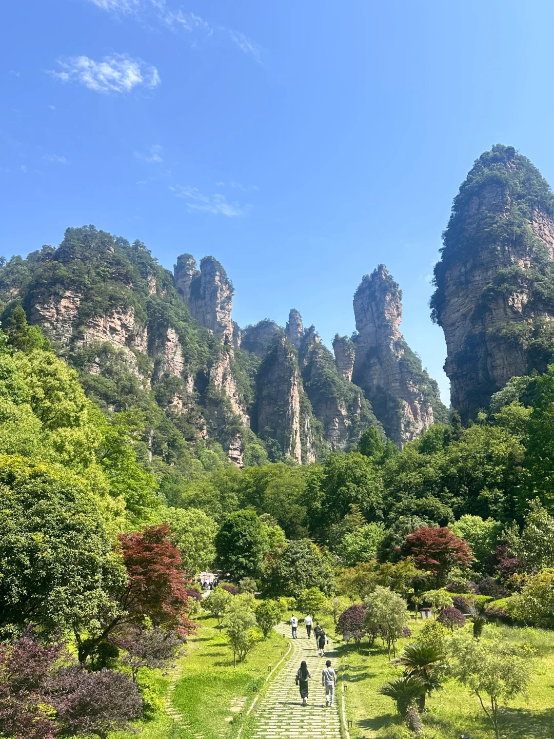 📍 𝐙𝐡𝐚𝐧𝐠 𝐣𝐢𝐚 𝐣𝐢𝐞