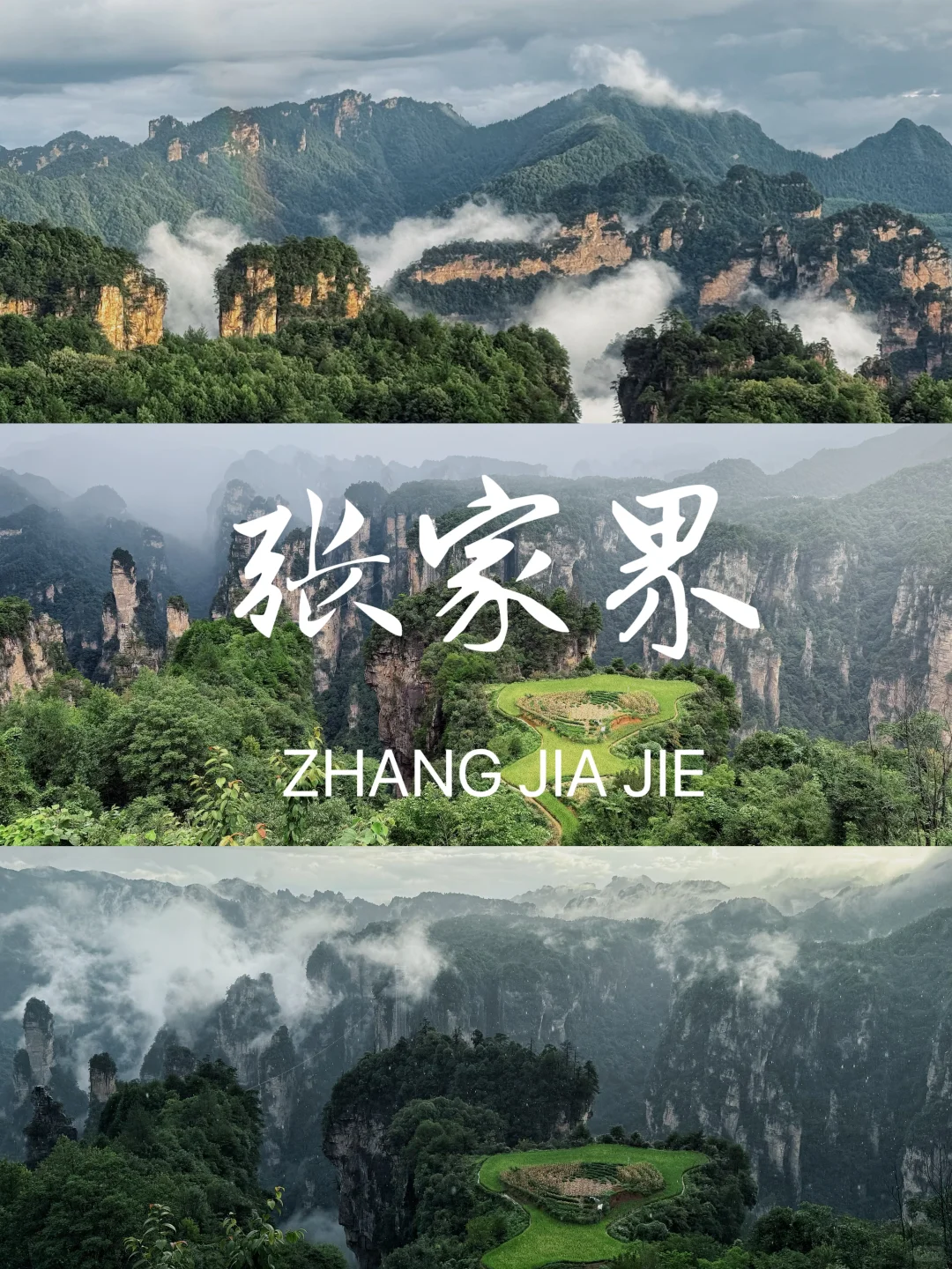 张家界森林公园超详细攻略！门票游玩全说明