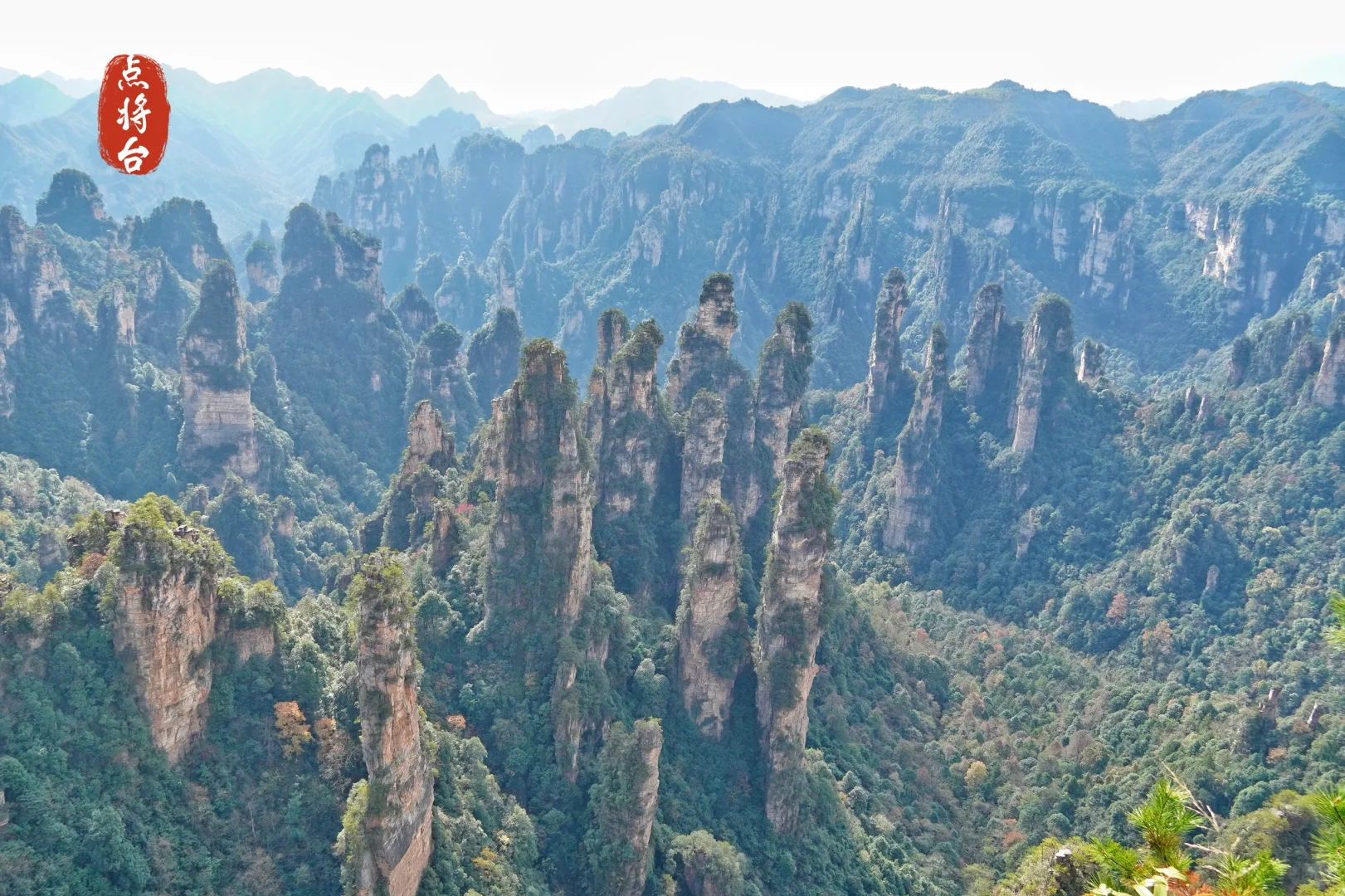 强推淡季的张家界‼️附攻略地图