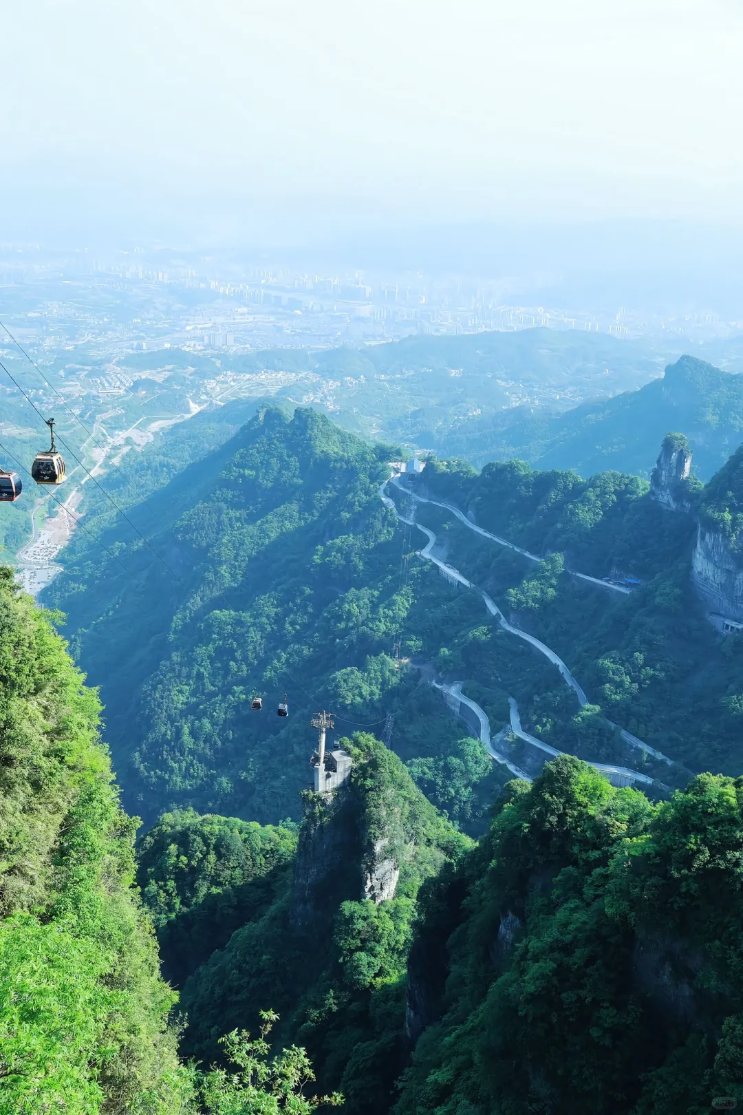 张家界已回（已被宰）内容很脏，但很真实！