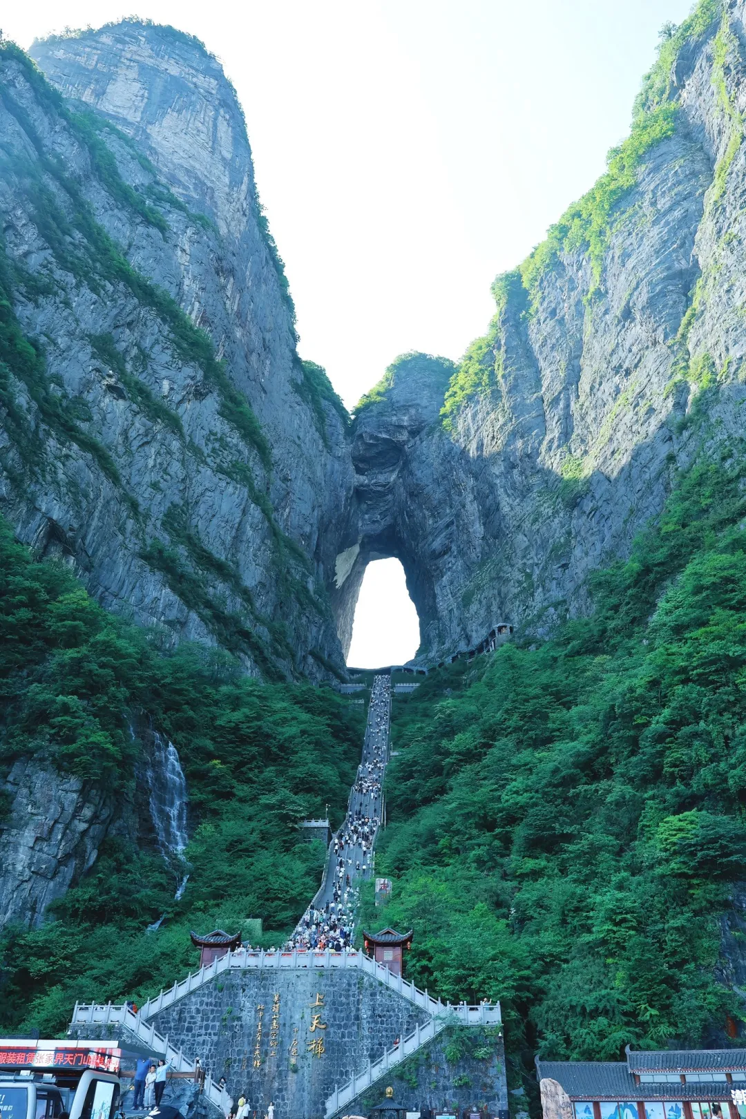 张家界已回（已被宰）内容很脏，但很真实！