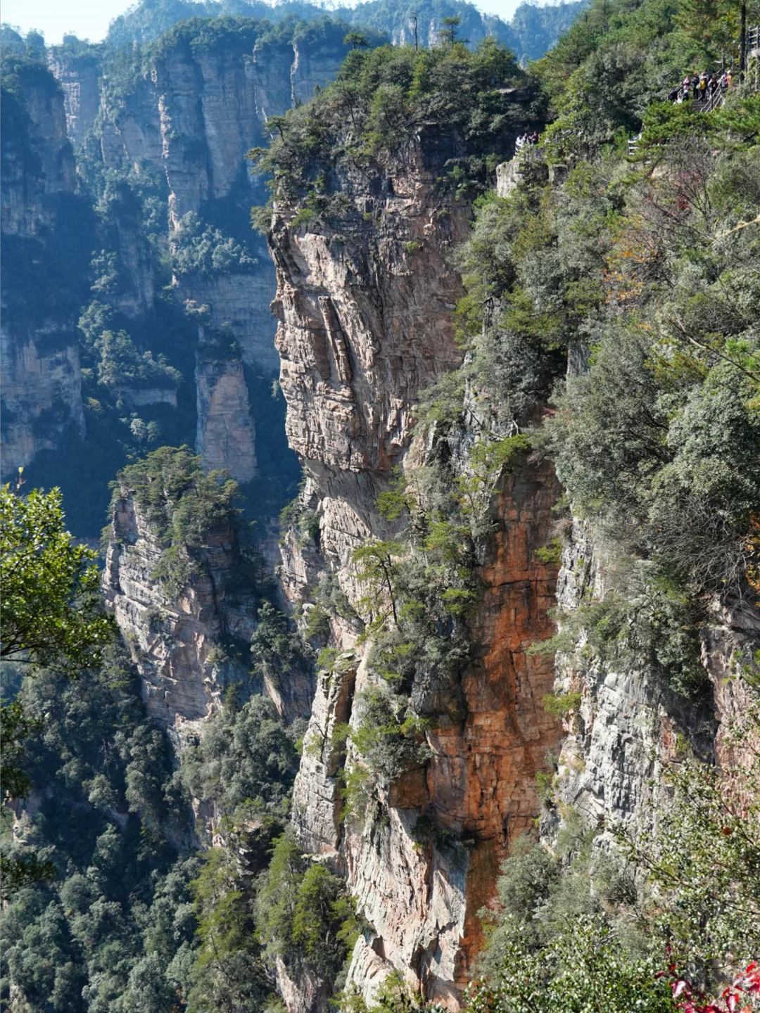 强推淡季的张家界‼️附攻略地图