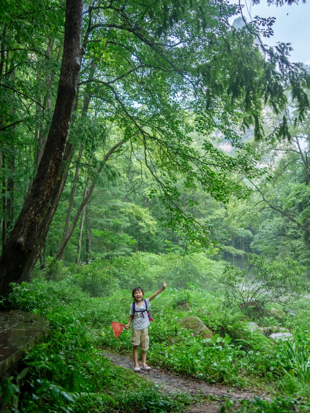 作为湖南人，真的后悔才来张家界，附详细路线