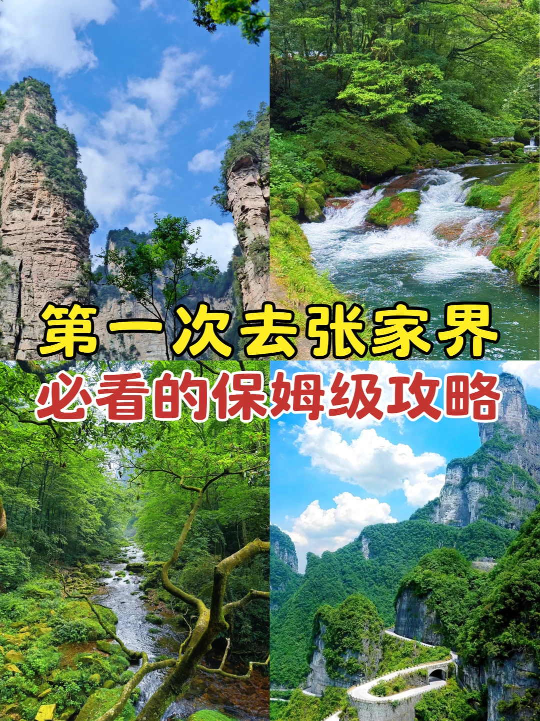 张家界三索一梯，太震撼了！快来快来