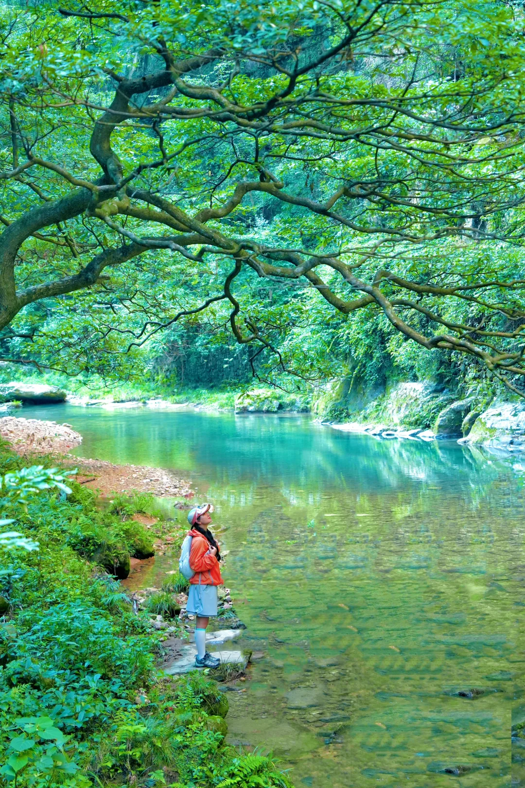 张家界刚回，再也不听小红书乱说了😭