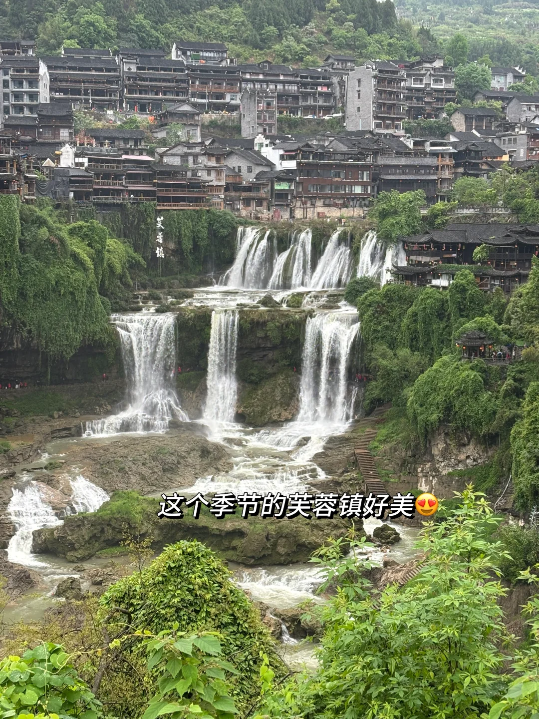 张家界英文导游|带团日记(四)