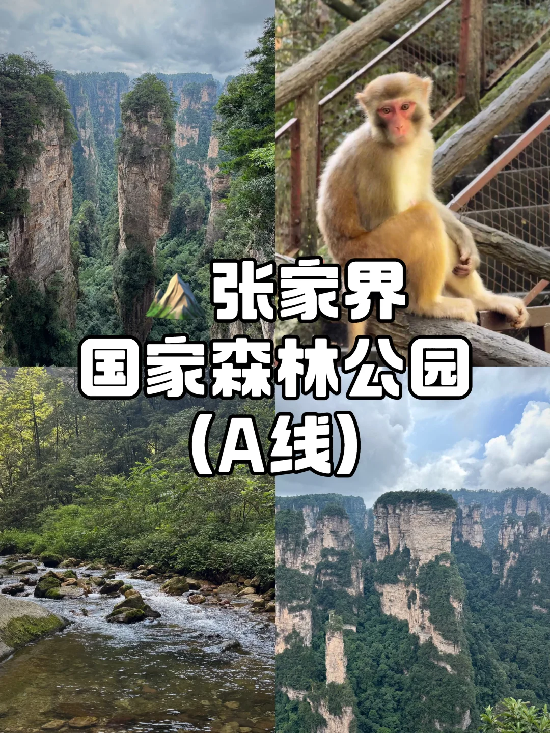 张家界森林公园一日路线（A线）