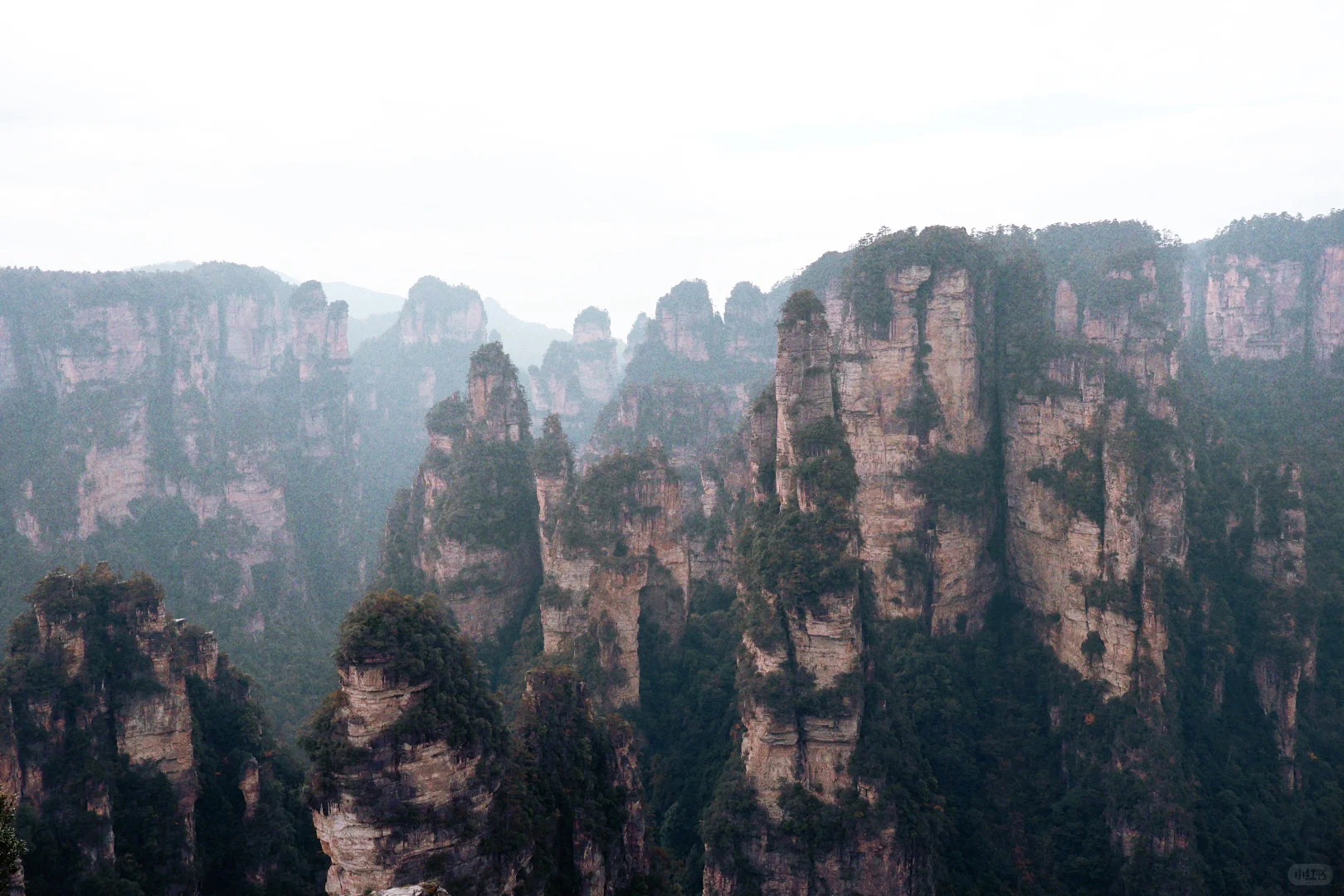 张家界国家森林公园游玩攻略