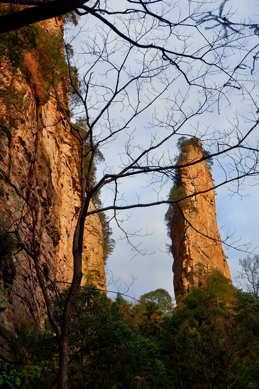闯入阿凡达的潘多拉星球⛰️