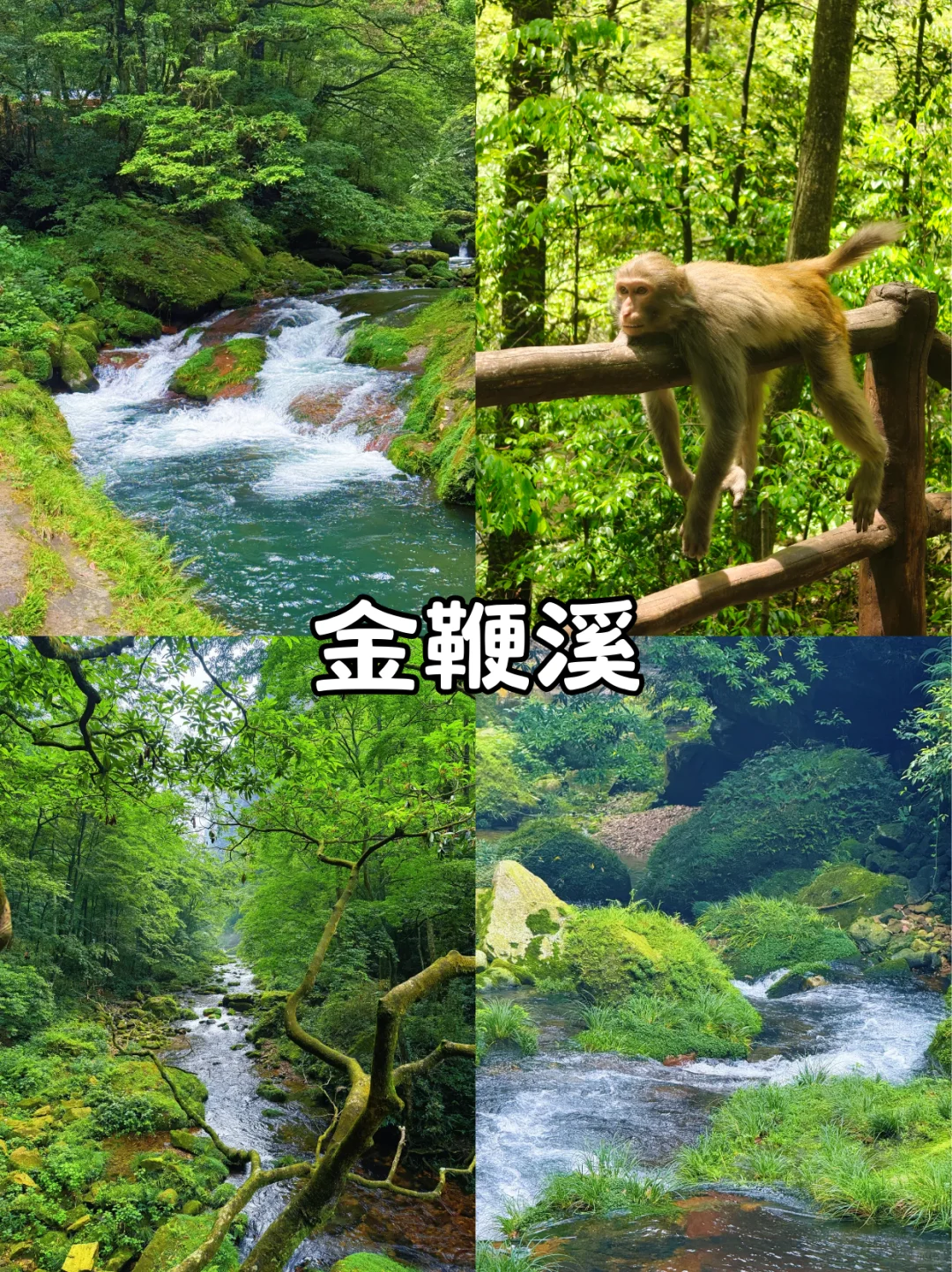 张家界三索一梯，太震撼了！快来快来