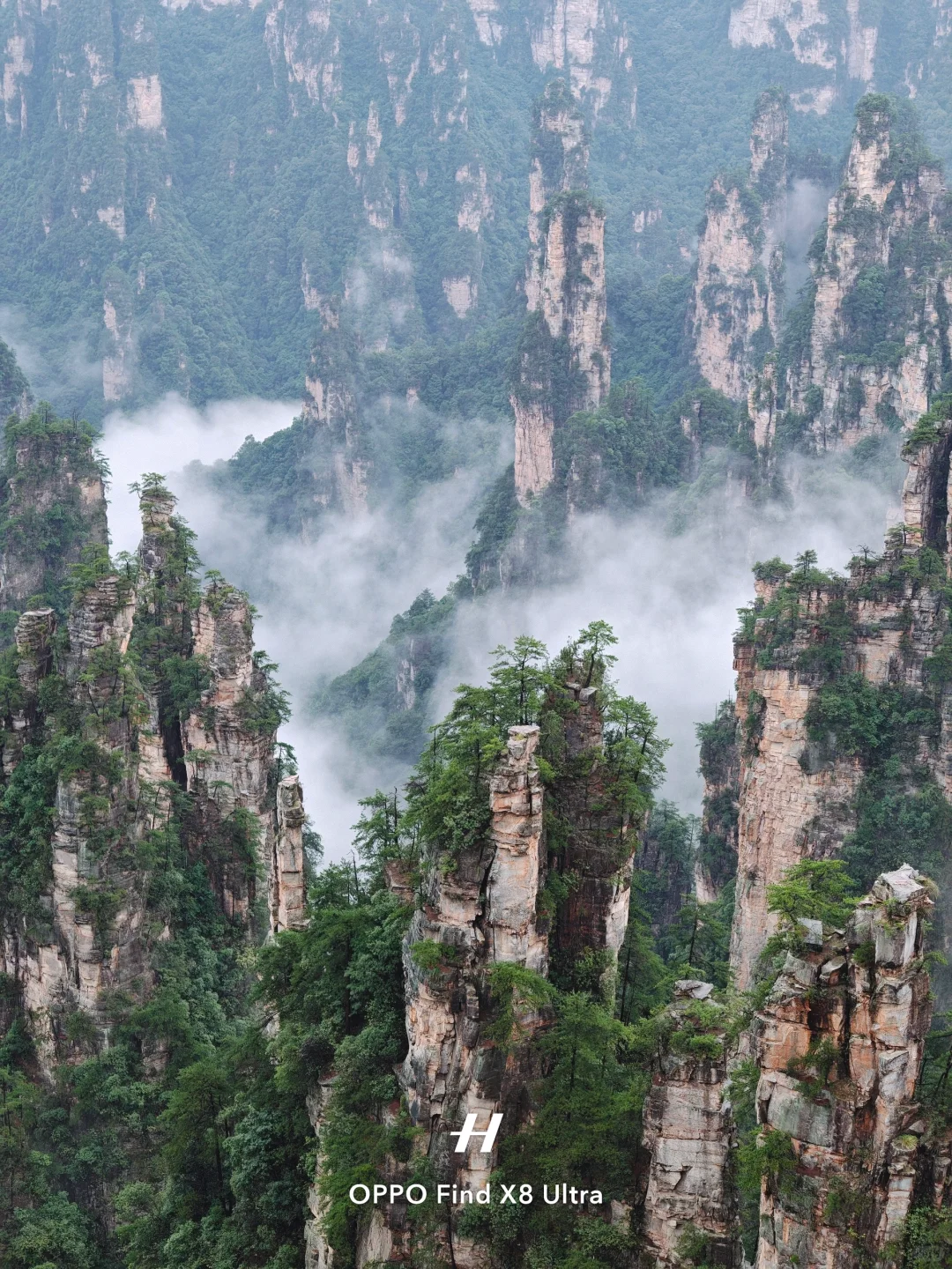 去了张家界，才知道水墨画还是太保守了……