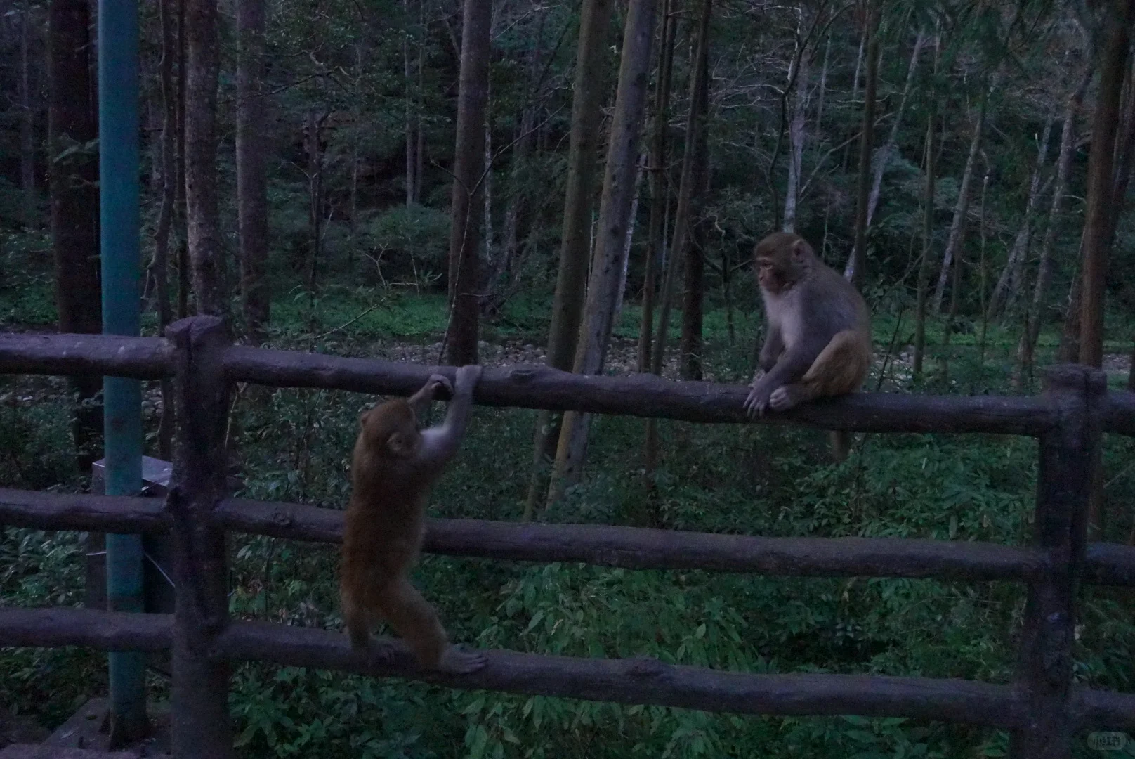 到站张家界第三天