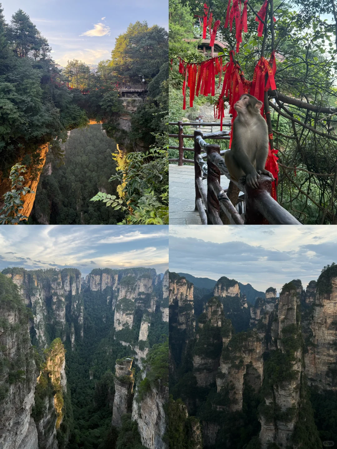 张家界森林公园超详细攻略！门票游玩全说明