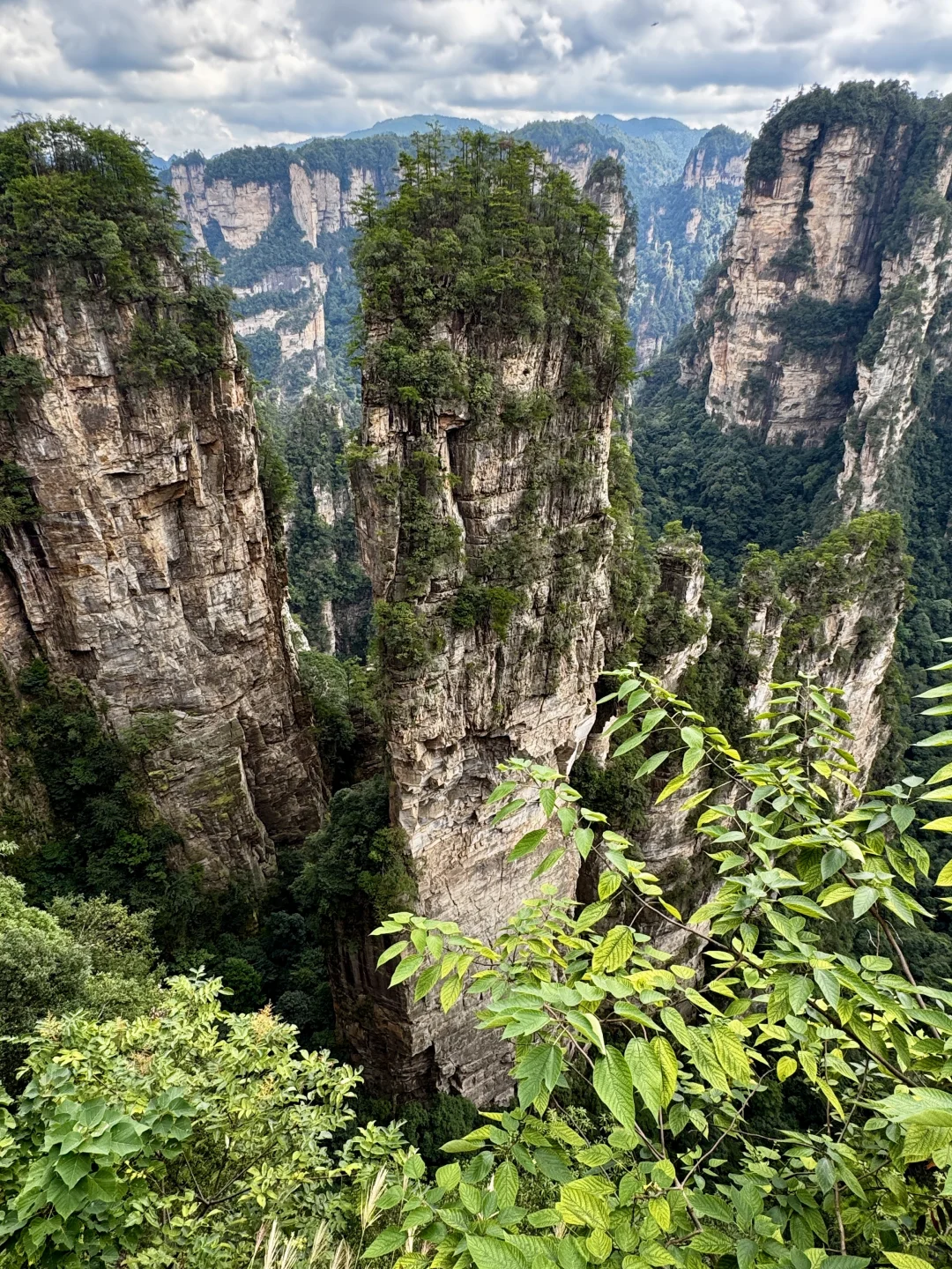 仙境之阿凡达故里