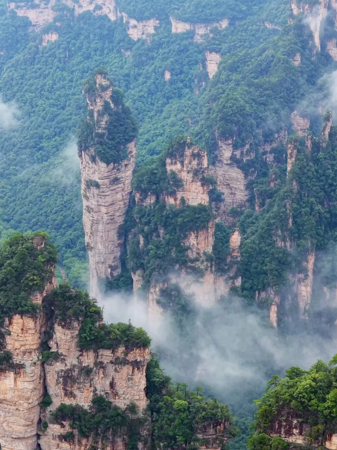 张家界‼️这么美你不宣传❓你糊涂啊😭