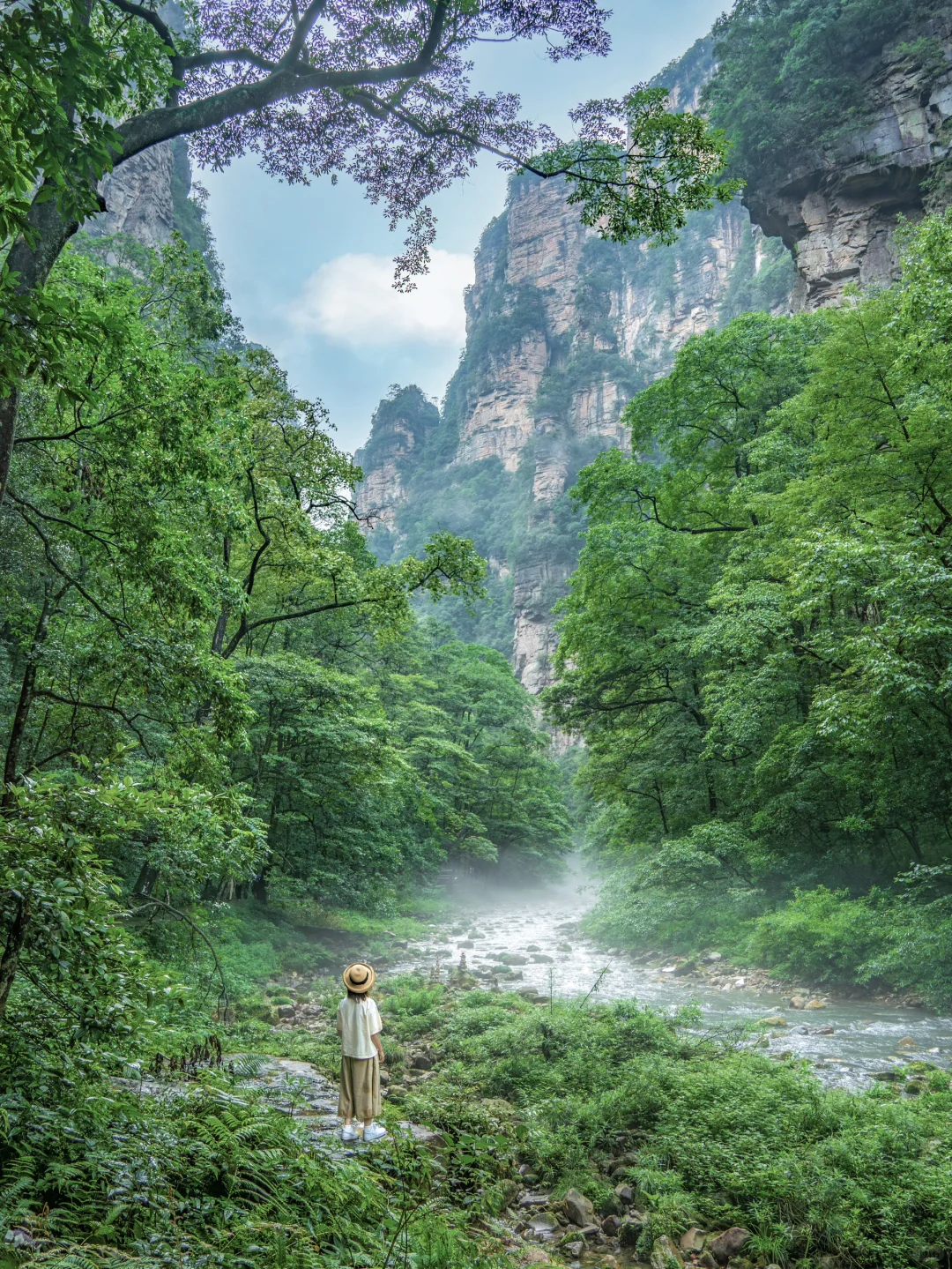 张家界‼️这么美你不宣传❓你糊涂啊😭