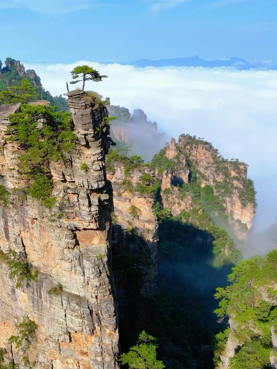 张家界刚回，能劝一个是一个❗坚决不删❗😂