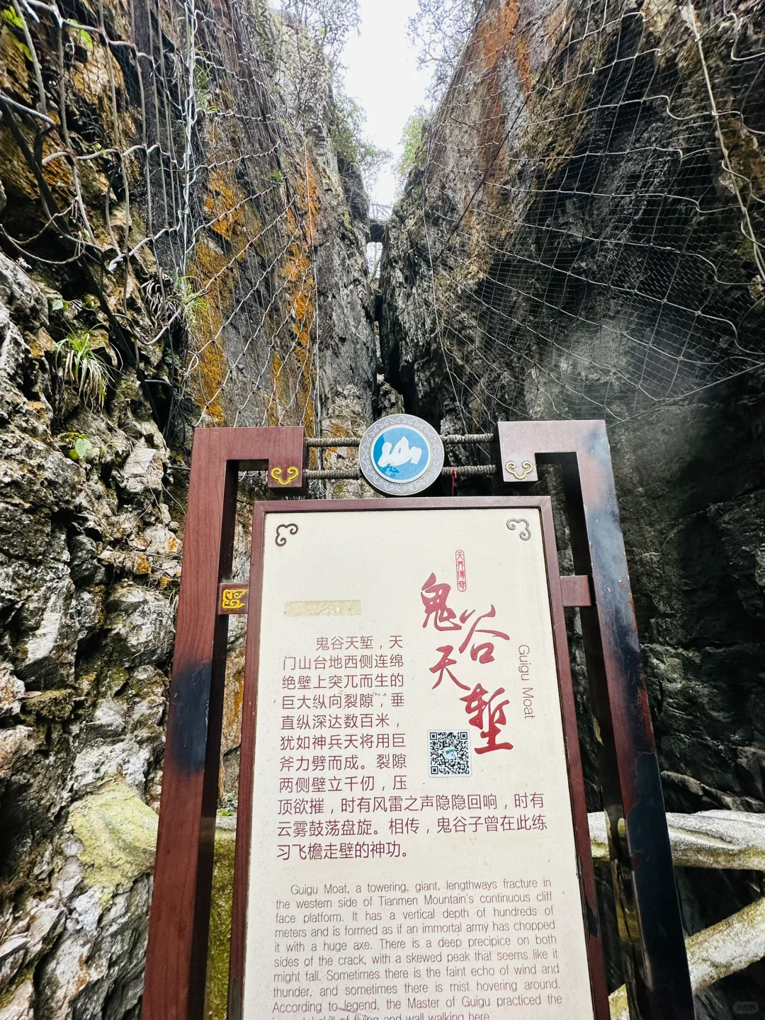 📍Zhang Jia Jie 张家界