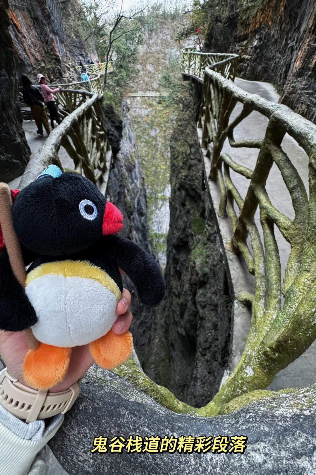 拥抱秋日的张家界 天门山篇🌳