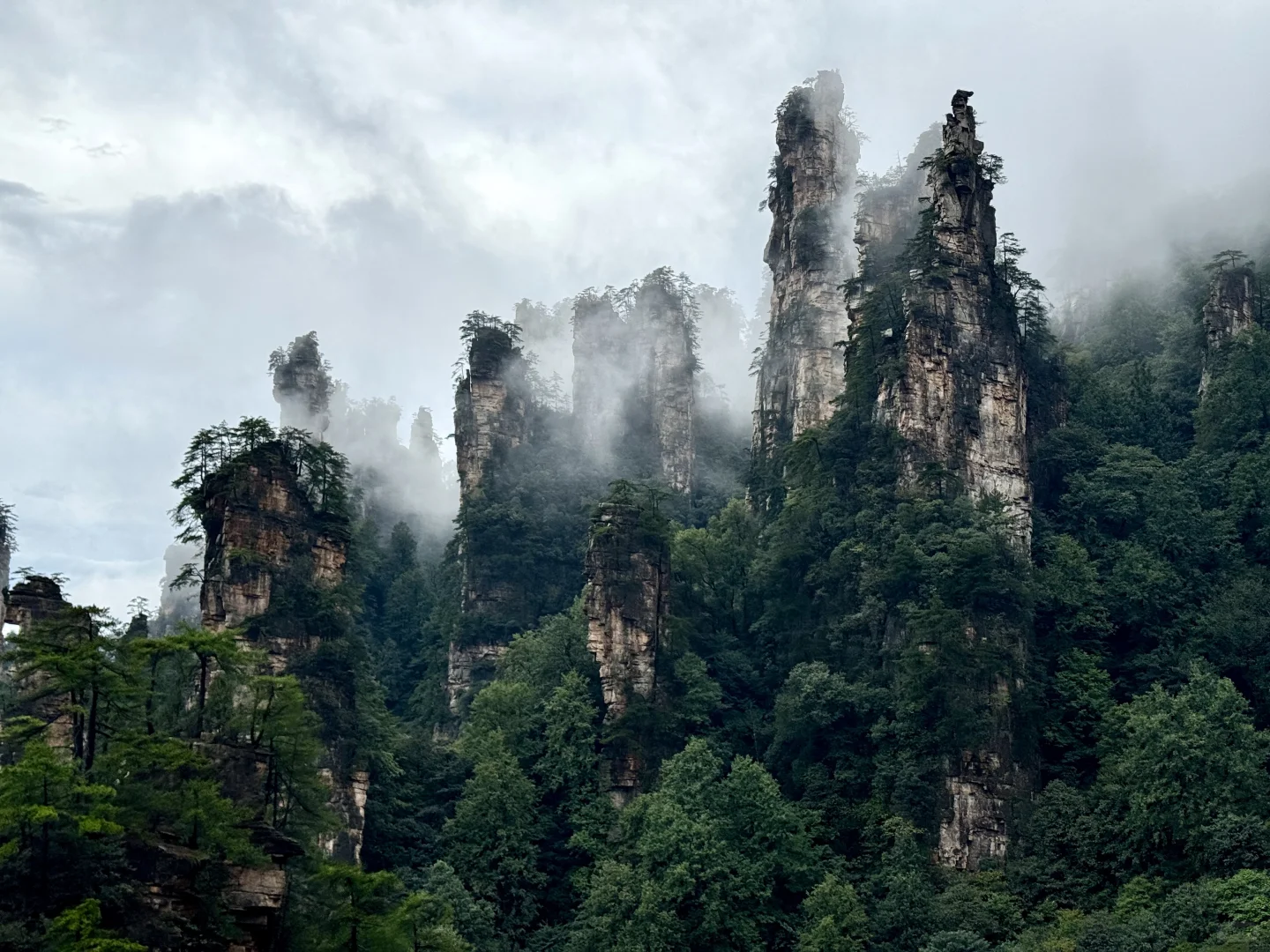 仙境之阿凡达故里