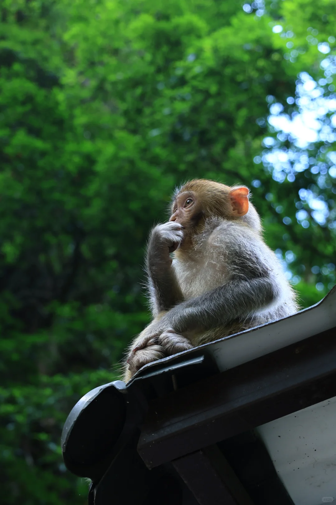 张家界很好，下次不来了！