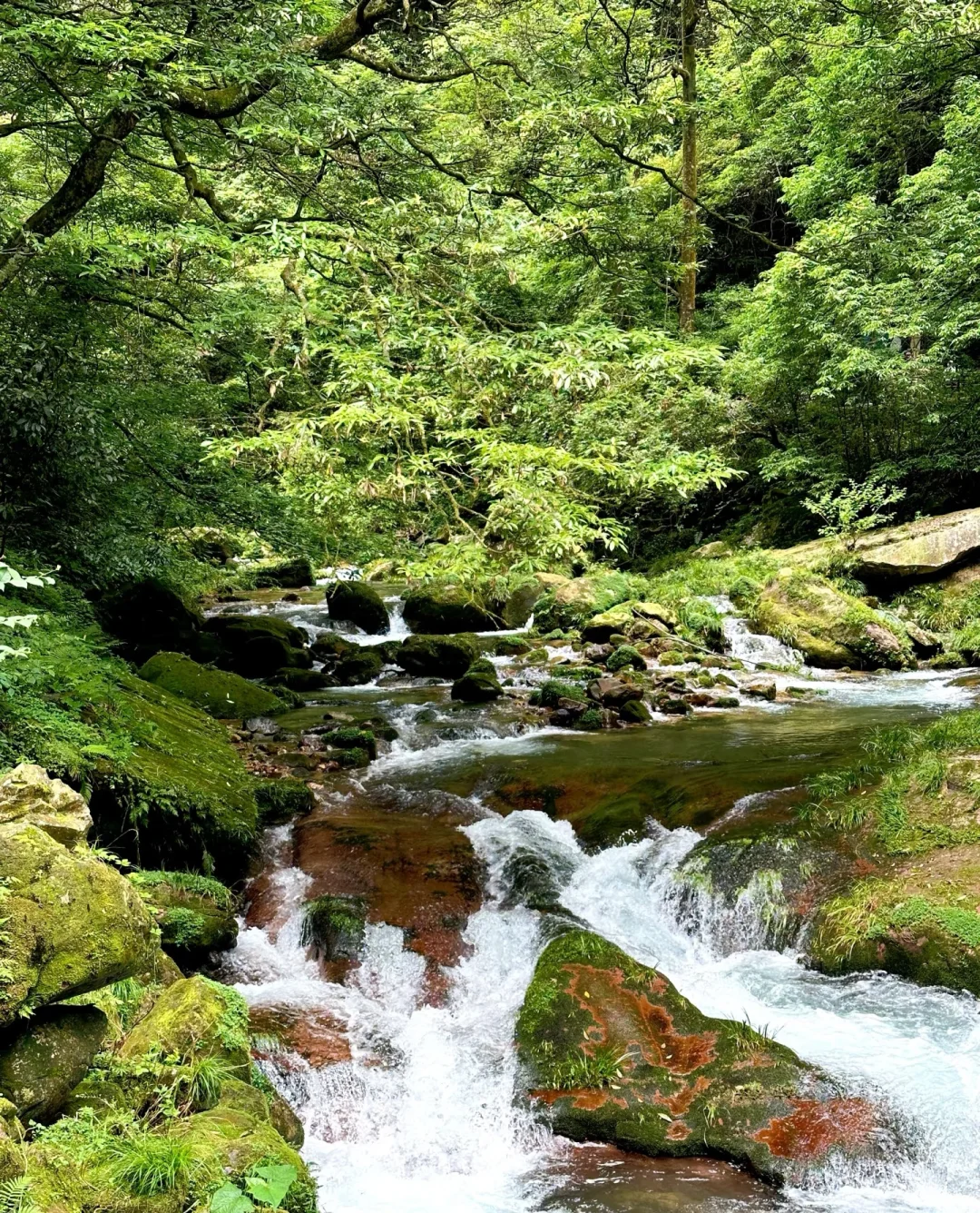 📍𝐙𝐡𝐚𝐧𝐠 𝐉𝐢𝐚 ?