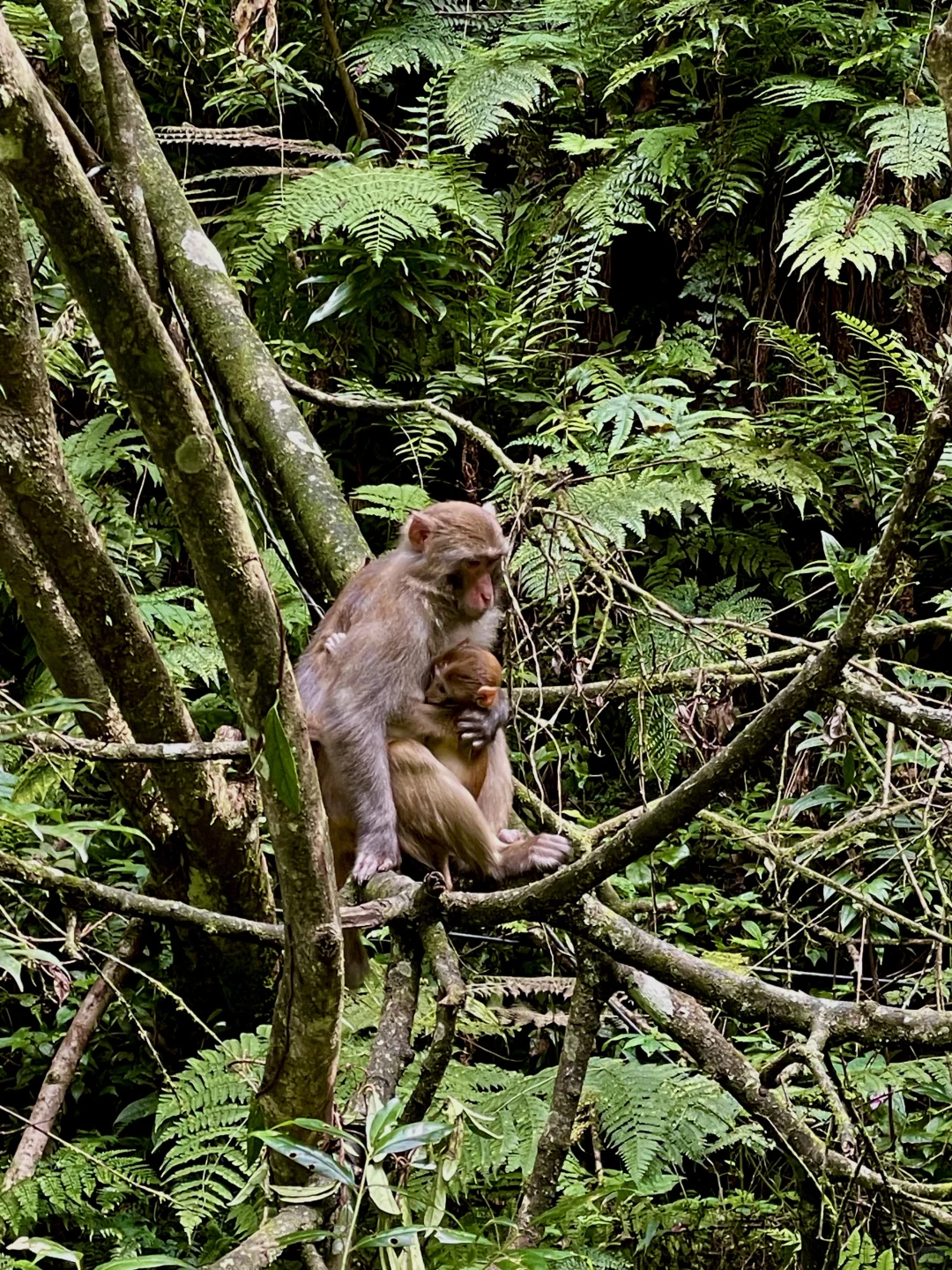 张家界｜大自然的鬼斧神工