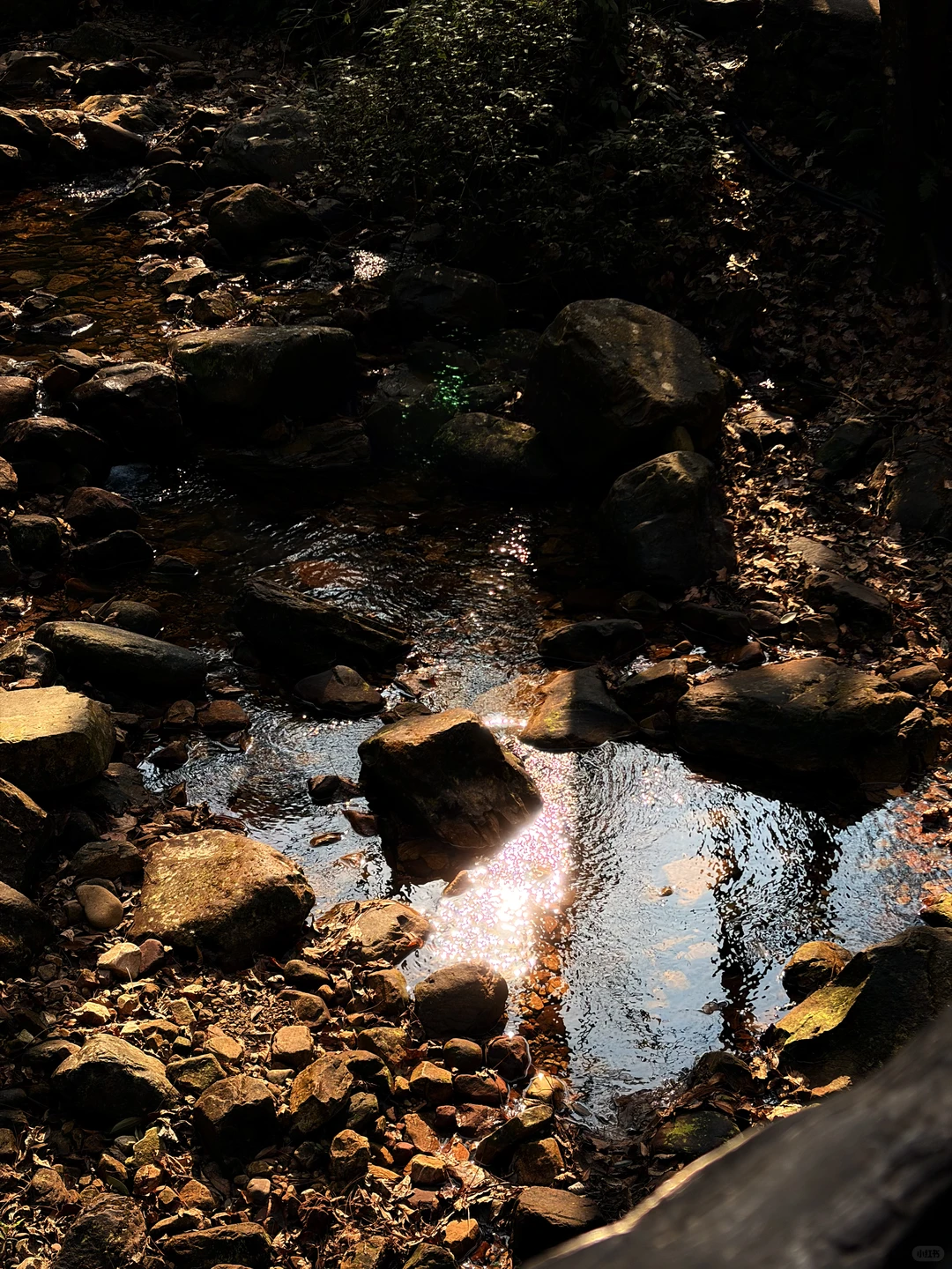 张家界国家森林公园之金鞭溪+黄石寨