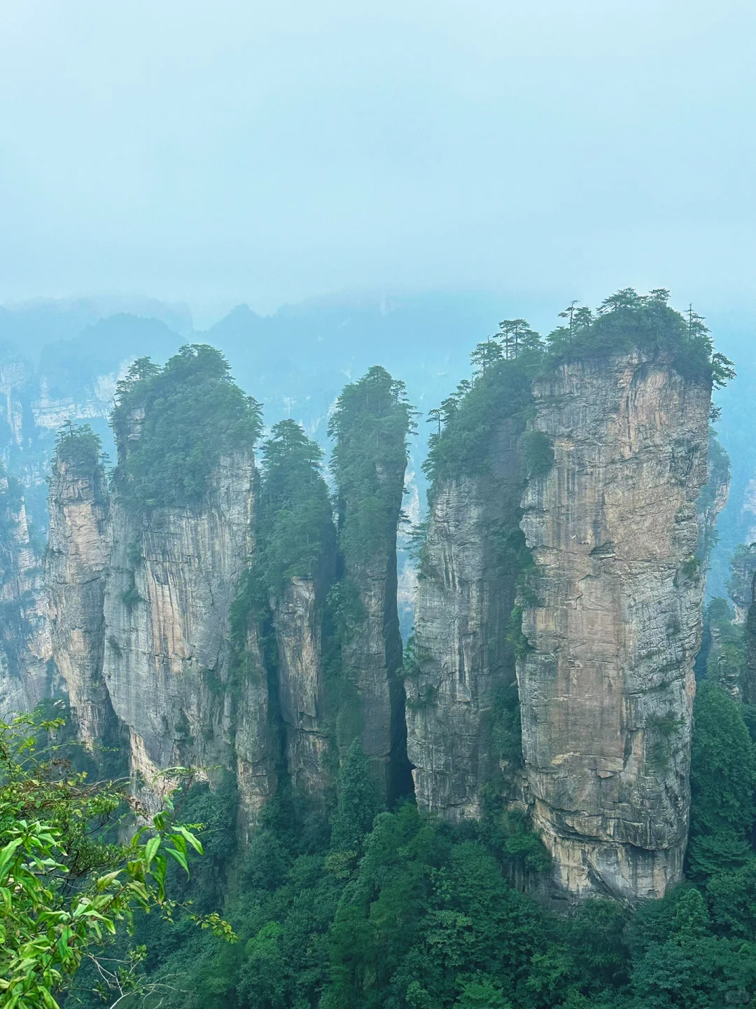 1️⃣适合带爸妈的张家界不费腿攻略